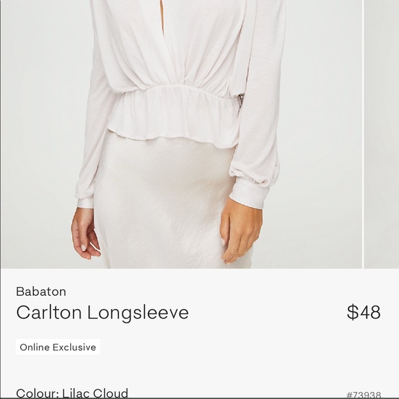 Babaton Carlton blouse - Picture 6 of 6